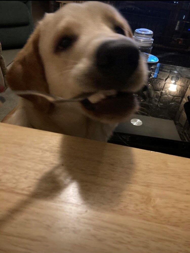 Brody eats eggs